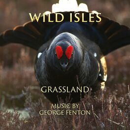 Album cover of Wild Isles: Grassland (Music from the Original TV Series)