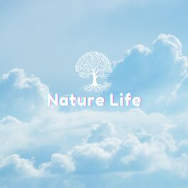 Album cover of Soothing Sounds of Sleep for Nature