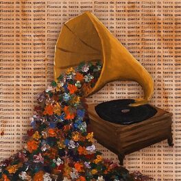 Album cover of Florais da Terra Quente