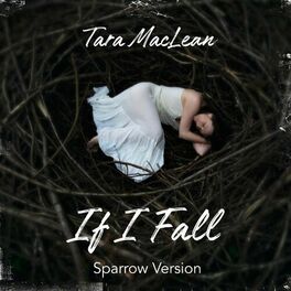 Album cover of If I Fall (Sparrow Version)