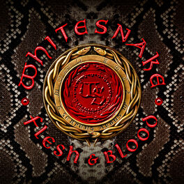 Album cover of Flesh & Blood (Deluxe Edition)