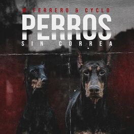 Album cover of Perros Sin Correa