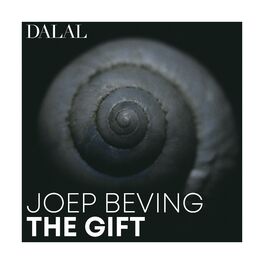 Album cover of Joep Beving: The Gift