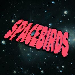 Album cover of Spacebirds