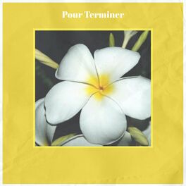Album cover of Pour Terminer