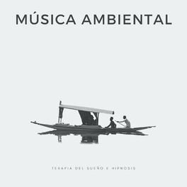 Album cover of Música Ambiental: Terapia Del Sueño E Hipnosis
