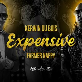 Album cover of Expensive (feat. Kerwin Du Bois & Farmer Nappy)