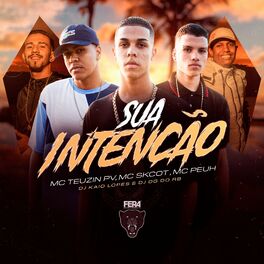 Album cover of Sua Intenção