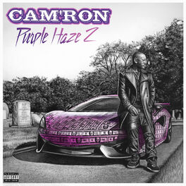 Album cover of Purple Haze 2