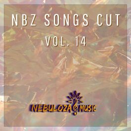 Album cover of Nbz Songs Cut Vol. 14