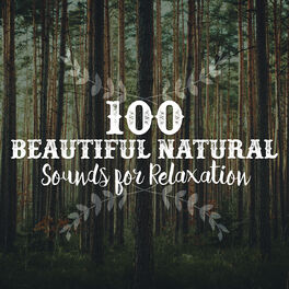 Album cover of 100 Beautiful Natural Sounds for Relaxation