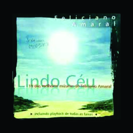 Album cover of Feliciano Amaral - Lindo Céu