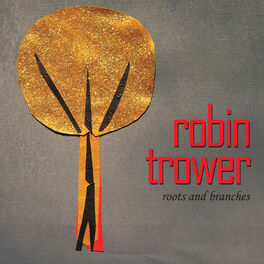 Album cover of Roots And Branches
