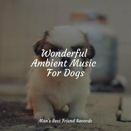 Album cover of Wonderful Ambient Music For Dogs
