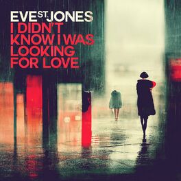 Album cover of I Didn't Know I Was Looking for Love