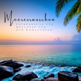 Album cover of Meeresrauschen Entspannung für Wellness und zum Wohlfühlen