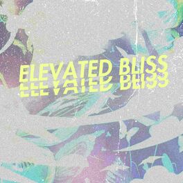 Album cover of elevated bliss