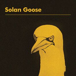 Album cover of Solan Goose