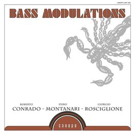 Album cover of Bass Modulations