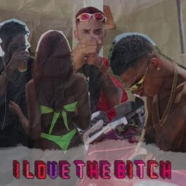 Album cover of I Love The Bitch