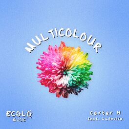Album cover of Multicolour