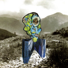 Album cover of The Glass Trunk