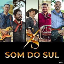 Album cover of Grupo Som do Sul, Vol. 1