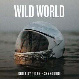 Album cover of Wild World