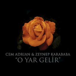 Album picture of O Yar Gelir (feat. Zeynep Karababa)