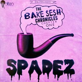 Album cover of The Bake Sesh Chronicles: Chapter I (Slowed + Reverb)