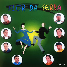Album cover of Os Reis do Arrasta Pé, Vol. 13