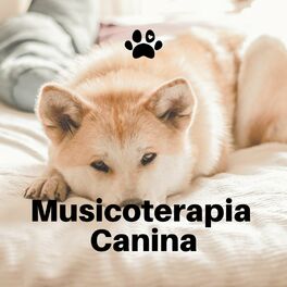 Album cover of Musicoterapia Canina