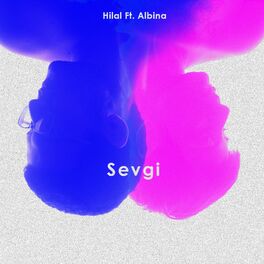 Album cover of Sevgi