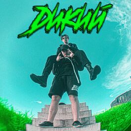 Album cover of Дикий
