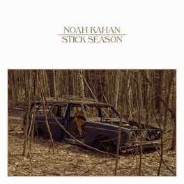 Album cover of Stick Season