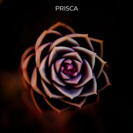 Album cover of Priscilla Ededem