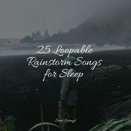 Album cover of 25 Loopable Rainstorm Songs for Sleep