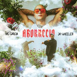 Album cover of Aborrecio
