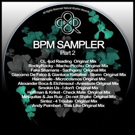 Album cover of BPM Sampler, Pt. 2