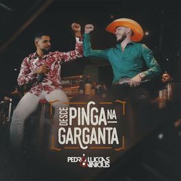 Album cover of Desce Pinga na Garganta