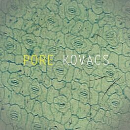 Album cover of Pore