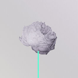 Album cover of Under The Ivy