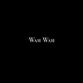 Album cover of Wah Wah