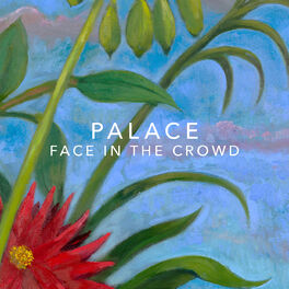 Album cover of Face In the Crowd
