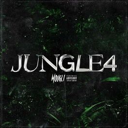 Album cover of Jungle #4