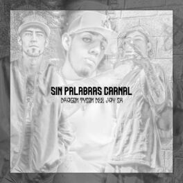 Album cover of Sin palabras carnal (feat. Dragon & Tyson)