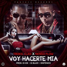 Album cover of Voy Hacerte Mia