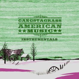 Album cover of American Music (Instrumental)