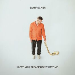 Album cover of I Love You, Please Don't Hate Me
