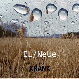 Album cover of Krank